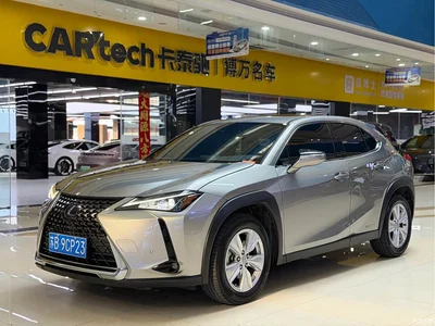2020 Lexus UX 260h Explore Fun Edition, фото 1, лот 11567656