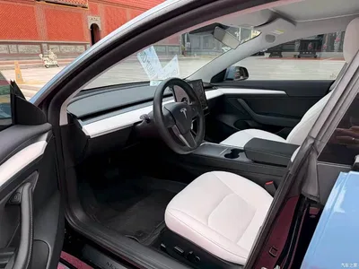 2021 Tesla Model 3 Standard Range Rear-Wheel Drive Upgrade, фото 4, лот 10356642