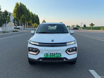 2022 Dongfeng Yipai Nano BOX Breeze Edition 201KM Standard, фото 2, лот 10821920