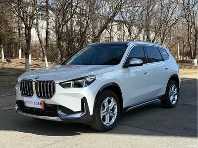 2023 BMW X1 sDrive20Li X Design Package, фото 1, лот 10466476