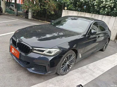 2021 BMW 5 Series 530Li Leading M Sport Package, фото 1, лот 11221246