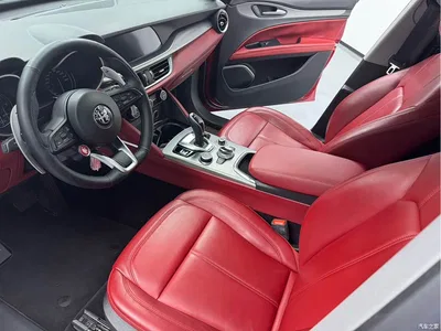 2020 Alfa Romeo Stelvio 2.0T 280HP Luxury Edition, фото 3, лот 10402236