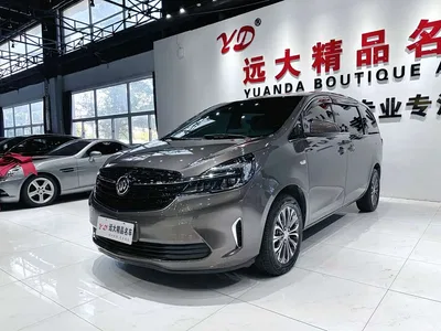 2022 Buick GL8 Land Business Class 652T Comfort, фото 1, лот 11539242