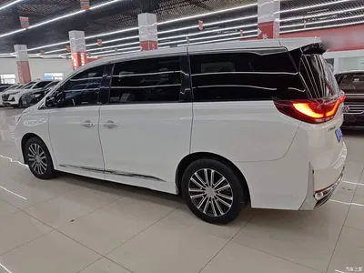 2021 GAC Trumpchi Trumpchi M8 Leading Show Series 390T Prestige Edition, фото 4, лот 10423920