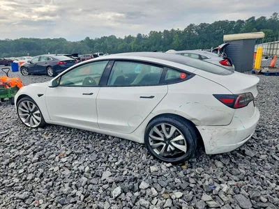 2023 TESLA MODEL 3, фото 2, лот 10851366