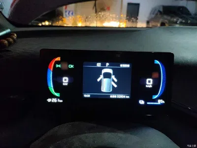 2024 BYD Seagull Glory Edition 305km Vitality Edition, фото 4, лот 10262935