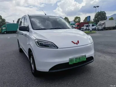 2024 Wuling Motors Wuling Hongguang New Energy Pure Electric 300KM Standard, фото 3, лот 11146770