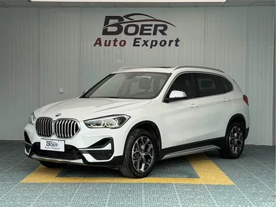 2020 BMW X1 sDrive20Li Premium Edition, фото 1, лот 10466868
