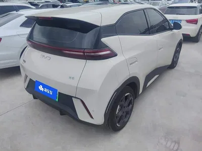 2024 BYD Seagull Glory Edition 405km Soaring Edition, фото 3, лот 10393093