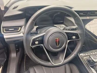 2024 Hongqi H5 1.5T DCT Smart Connect Flag Joy Edition, фото 4, лот 11203031
