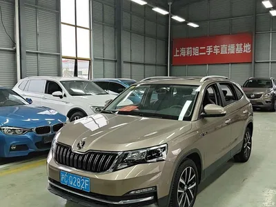 2018 Škoda Kamiq 1.5L Automatic Comfort Version China VI, фото 1, лот 10893654