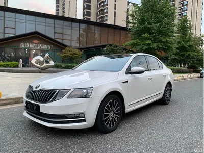 2019 Škoda Octavia 1.5L Automatic Smart Luxury China VI, фото 1, лот 10448859