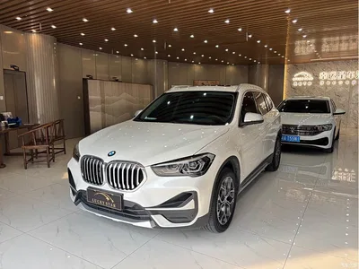 2022 BMW X1 sDrive20Li Premium, фото 1, лот 10466814