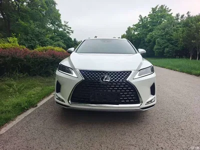 2020 Lexus RX Facelift 300 2WD Comfort Edition, фото 2, лот 10318815