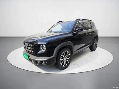 2022 Haval Big Dog 1.5T DCT FWD Border Collie Edition, фото 2, лот 11132111