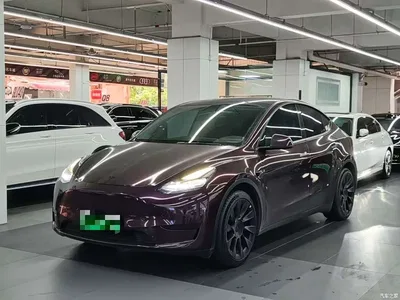 2022 Tesla Model Y Rear-Wheel Drive Version, фото 1, лот 11489742