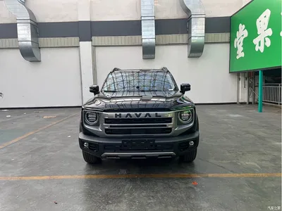 2024 Haval Big Dog 1.5T DCT Border Collie Edition, фото 2, лот 10768881