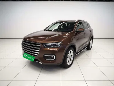 2019 Haval H6 Red Label 2.0GDIT Automatic Champion Edition, фото 2, лот 10287256