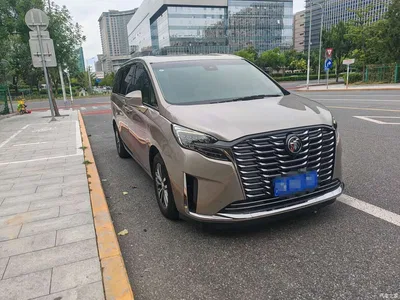 2023 Buick GL8 ES Landmaster Exclusive, фото 3, лот 11242831
