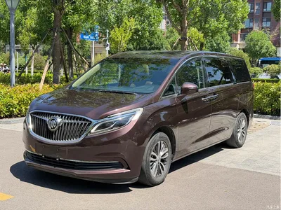 2017 Buick GL8 ES 28T Luxury China V, фото 1, лот 10251247