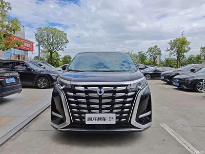 2022 Denza D9 DM-i 970 AWD Flagship, фото 2, лот 10346373