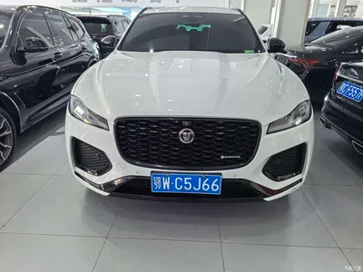 2022 Jaguar F-PACE P250 R-Dynamic BLACK, фото 2, лот 11242483