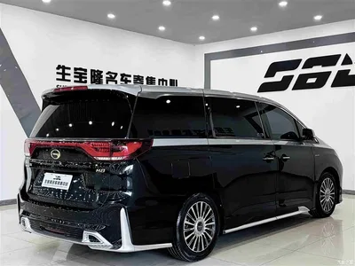 2021 GAC Trumpchi Trumpchi M8 Master Series 390T 4-Seat Premium Edition, фото 4, лот 11202192