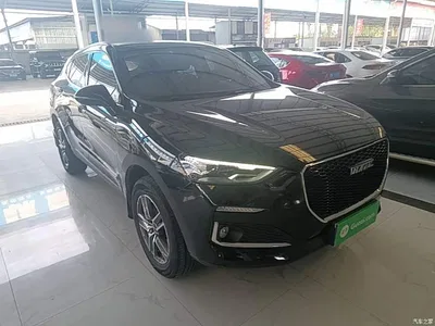 2020 Haval F5 1.5T DCT i-Type, фото 4, лот 10285992