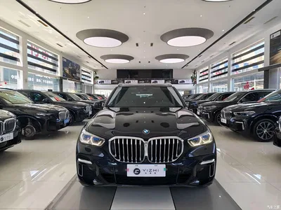 2022 BMW X5 xDrive 30Li Premium M Sport Package, фото 1, лот 10462979