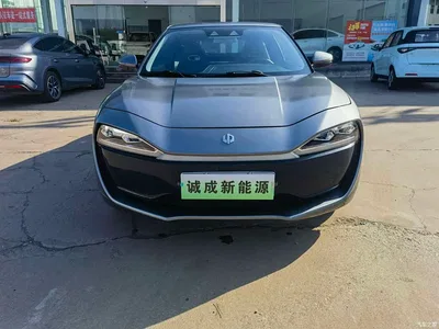 2020 Leapmotor S01 460 Standard, фото 2, лот 10888530
