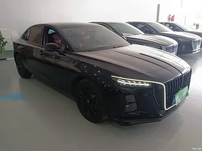 2025 Hongqi H5 2.0T Automatic Mystic Shadow, фото 4, лот 11220003