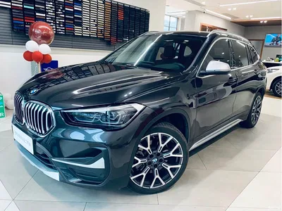 2022 BMW X1 Facelift xDrive25Li Premium Edition, фото 1, лот 11398470