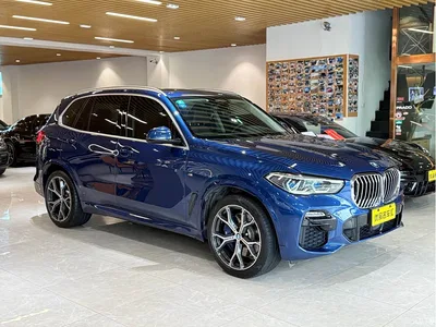 2019 BMW X5 (Import) xDrive40i Exclusive M Sport Package, фото 3, лот 10463952