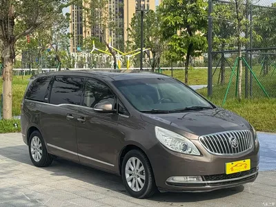2013 Buick GL8, фото 4, лот 10242489