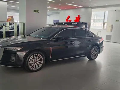 2023 Hongqi H5 2.0T Auto Smart Connect Flag Comfort, фото 3, лот 10288388