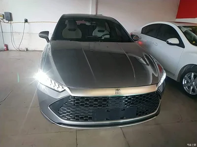 2023 BYD Qin PLUS Champion Edition DM-i 55KM Leading, фото 3, лот 10362716