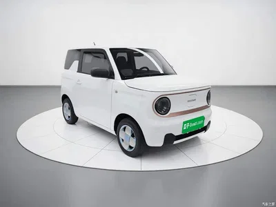 2023 Geely Galaxy Panda Mini 200km Endurance Bear, фото 3, лот 11176454