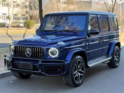 2020 Mercedes-Benz G-Class G 350, фото 1, лот 10257269