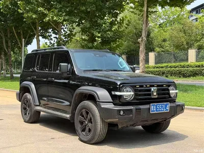 2021 Tank 300 Off-road Version 2.0T Conqueror, фото 3, лот 10344267
