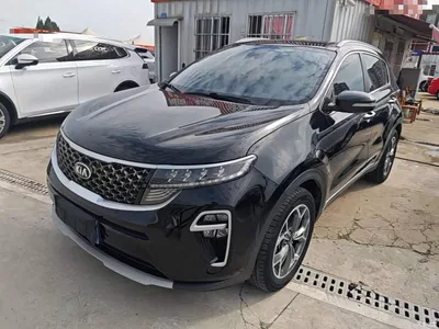 2019 Kia KX5 1.6T Automatic 2WD Luxury Edition, фото 1, лот 10337762