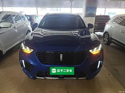 2017 WEY VV5 2.0T Super Luxury Model, фото 3, лот 10452473