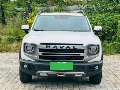 2024 Haval Big Dog 2.0T DCT Chinese Rural Dog Edition, фото 2, лот 11181057