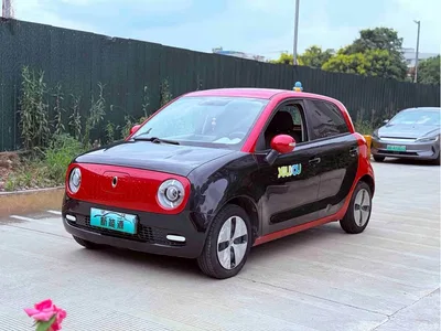 2021 Ora Black Cat 301km Basic Model, фото 1, лот 10331456