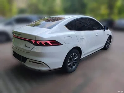 2024 BYD Qin PLUS Glory Edition DM-i 55KM Leading, фото 4, лот 10363524