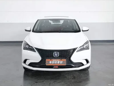 2019 Changan Eado Blue Whale Edition 280T GDI DCT Extreme Speed, фото 3, лот 10274373