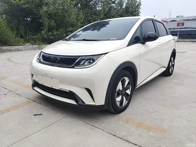 2024 BYD Dolphin Glory Edition 420km Freedom Edition, фото 2, лот 10390192