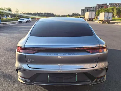 2023 BYD Han DM-i Champion Edition 121KM Premium, фото 4, лот 10257083