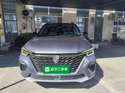 2020 Roewe RX5 New Energy ePLUS Guochao Ronglin Luxury Edition, фото 3, лот 10341853