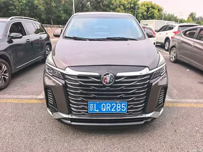 2020 Buick GL8 Model Land Business Class 652T Luxury, фото 2, лот 10255241