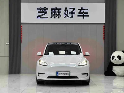 2021 Tesla Model Y Standard Range Rear-Wheel Drive, фото 2, лот 11195751